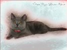 Аватара пользователя